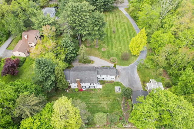 bird's eye view