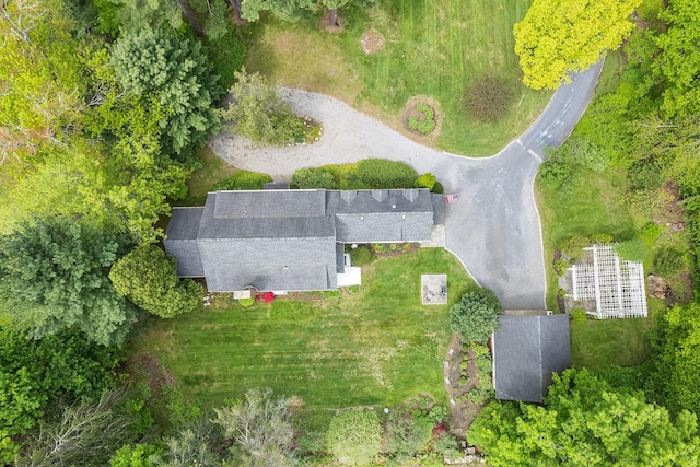 bird's eye view