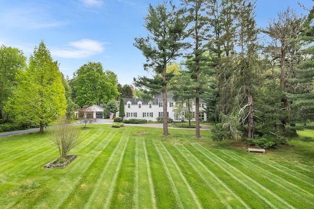 view of grassy yard