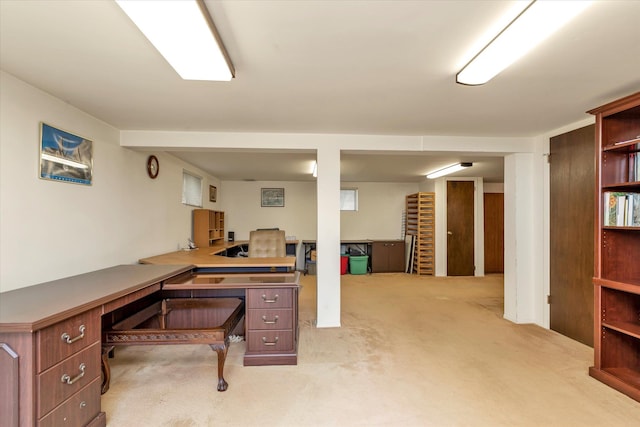 office space with carpet