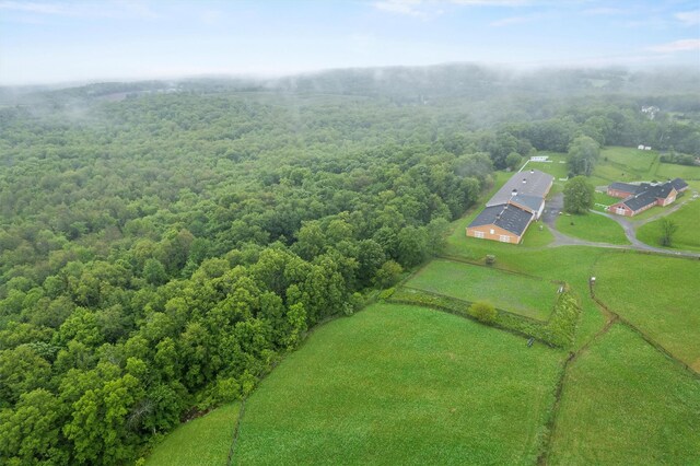 173 Sarah Wells Trl, Campbell Hall, NY 10916 - aerial view of a heavily wooded area