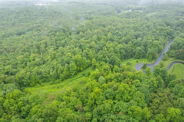 173 Sarah Wells Trl, Campbell Hall, NY 10916 - aerial view of a heavily wooded area