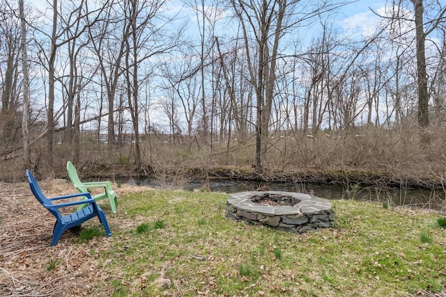 70 S St S, Rhinebeck, NY 12572 - photo 36