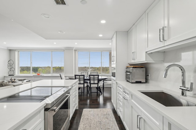 kitchen featuring plenty of natural light, a sink, recessed lighting, and stainless steel range with electric stovetop