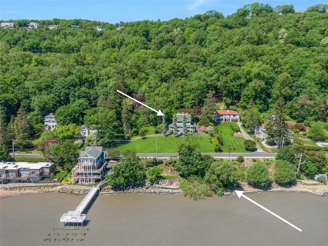225 River Rd, Nyack, NY 10960 - bird's eye view of a forest and a large body of water