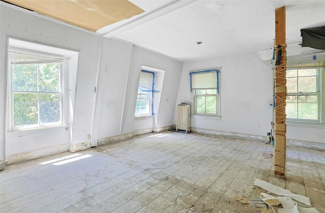 225 River Rd, Nyack, NY 10960 - empty room with radiator, healthy amount of natural light, and hardwood / wood-style flooring