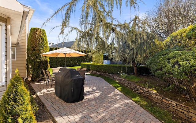 100 Glen Cove Rd, Greenvale, NY 11548 - view of patio featuring outdoor dining space and grilling area
