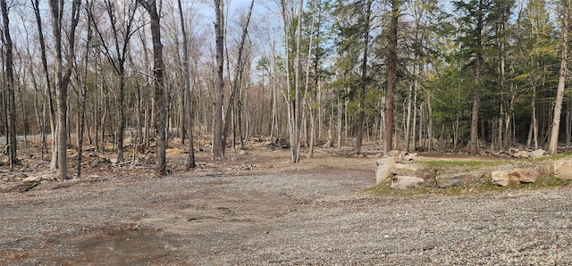 view of landscape with a forest view