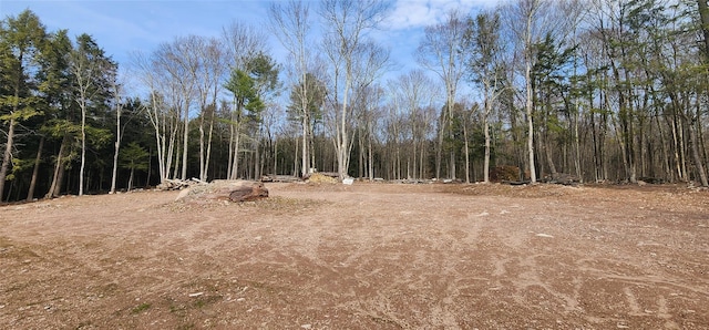 view of local wilderness featuring a view of trees