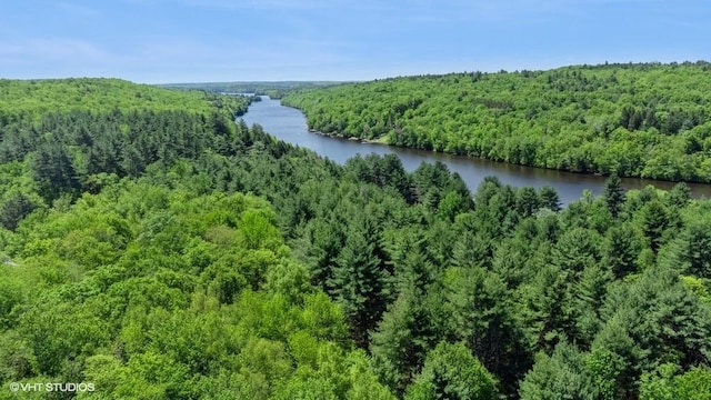 836 Starlight Rd, Monticello, NY 12701 - photo 9