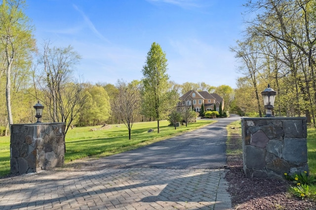 view of road featuring street lighting and aphalt driveway