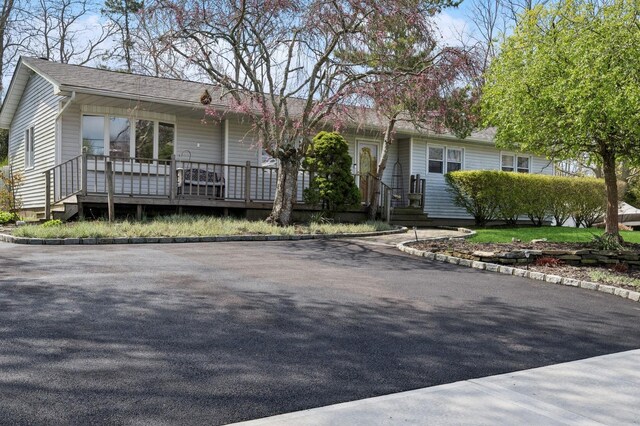 24 Linda Ln, East Moriches, NY 11940 - ranch-style house featuring a shingled roof and covered porch