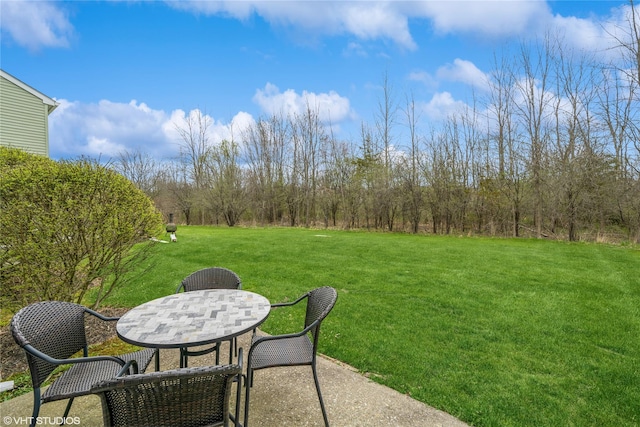 view of yard with outdoor dining area and a patio