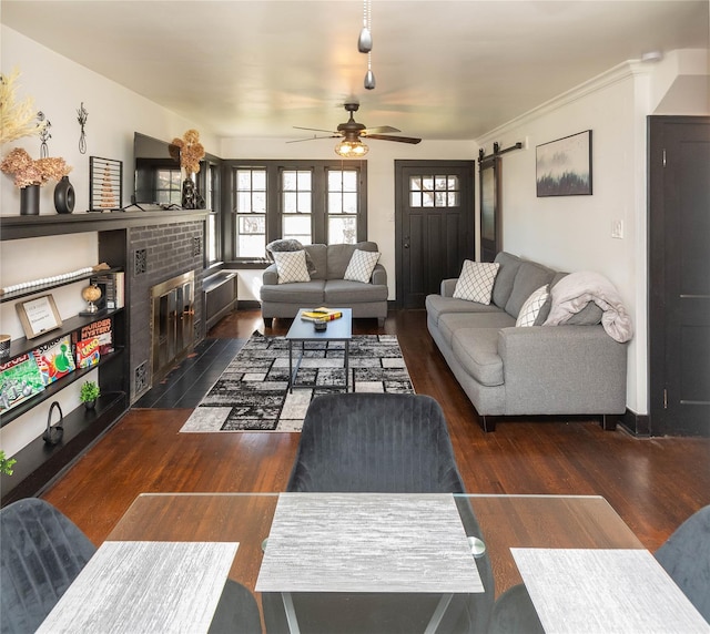 living area featuring ceiling fan, a barn door, wood finished floors, and a fireplace