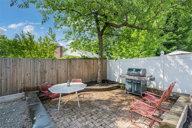 7 Senate Pl, Larchmont, NY 10538 - fenced backyard with a patio area and area for grilling