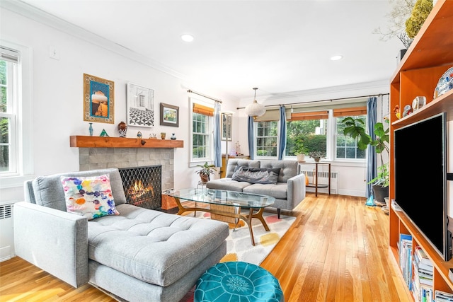 living area featuring plenty of natural light, a warm lit fireplace, light wood finished floors, radiator, and ornamental molding