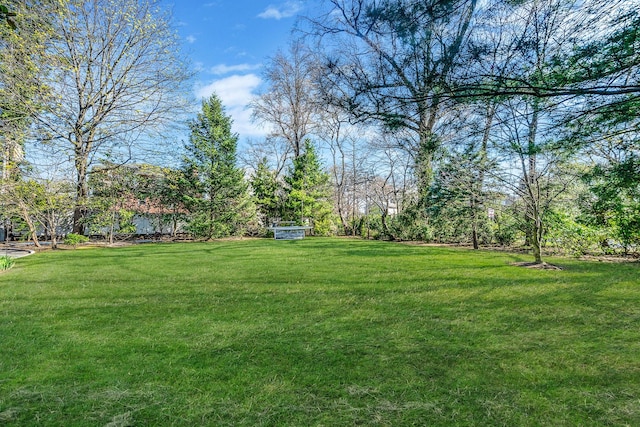 1 Prospect Ave, Garden City, NY 11530 - photo 34