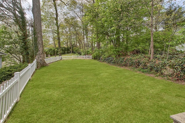 view of yard with a fenced backyard