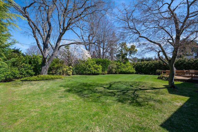 view of yard