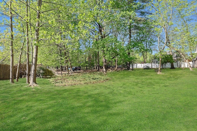 35 Harding St, Pearl River, NY 10965 - view of yard with fence
