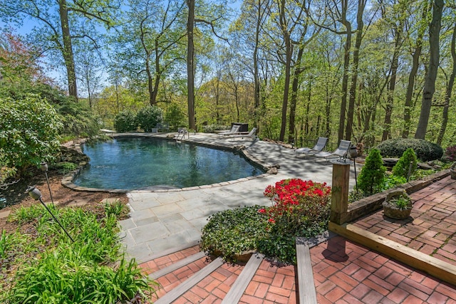 pool featuring a patio