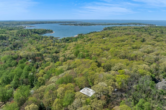 birds eye view of property featuring a water view and a forest view