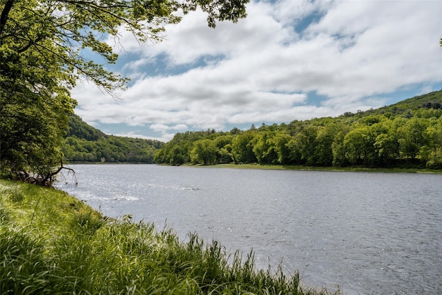 2383 State Route 97, Pond Eddy, NY 12770 - water view featuring a forest
