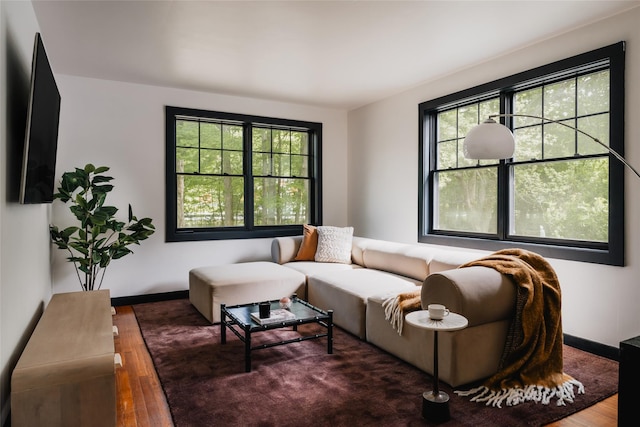 2383 State Route 97, Pond Eddy, NY 12770 - living area with wood finished floors and baseboards