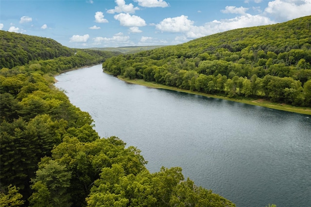 2383 State Route 97, Pond Eddy, NY 12770 - water view featuring a heavily wooded area