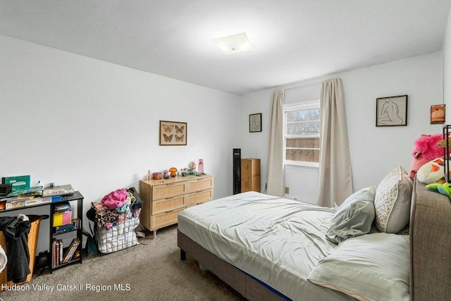 232 State Route 32 S, New Paltz, NY 12561 - photo 7
