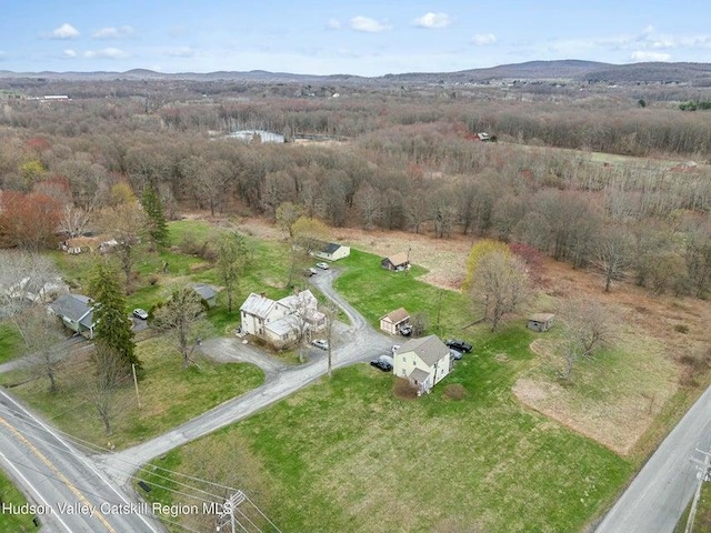 234 State Route 32 S, New Paltz, NY 12561 - photo 2