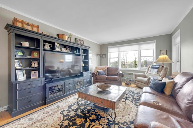 1255 N Ave Unit B-4L, New Rochelle, NY 10804 - living area featuring ornamental molding, radiator heating unit, and wood finished floors