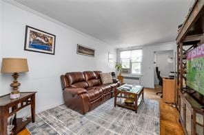 1103 Rhinelander Ave, Bronx, NY 10461 - living room with ornamental molding