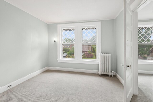 124 Roxbury Rd, Garden City, NY 11530 - photo 23