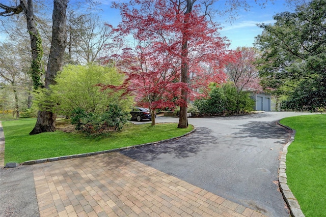 view of front of house featuring driveway, a front yard, and a garage