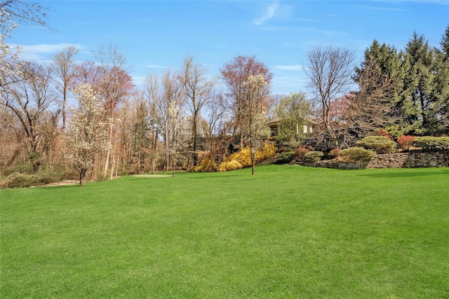 85 Woodlands Rd, Harrison, NY 10528 - view of grassy yard