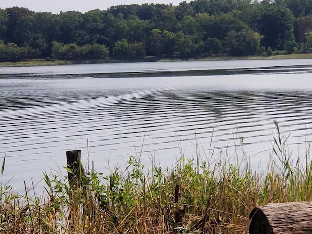 property view of water featuring a forest view