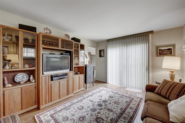 living room featuring light wood-style floors