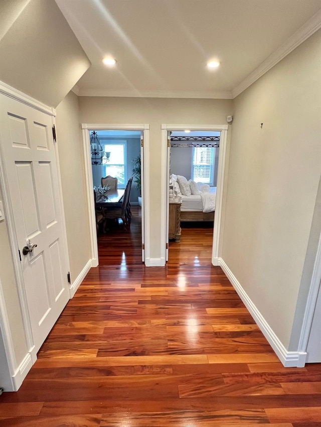 1258 Mace Ave, Bronx, NY 10469 - hall with baseboards, wood finished floors, a wealth of natural light, and ornamental molding