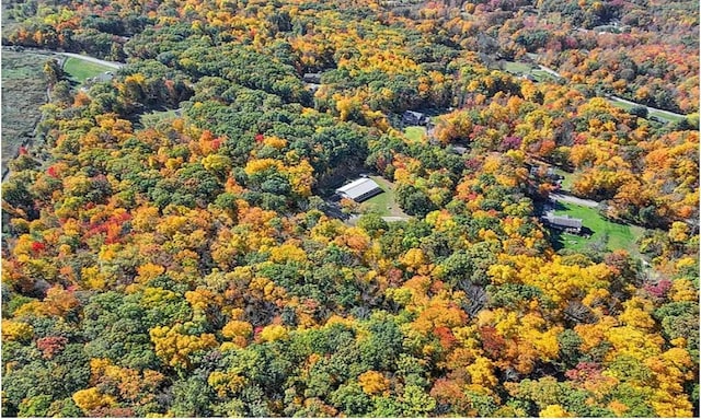 190 Penaluna Rd, Monroe, NY 10990 - drone / aerial view featuring a forest view