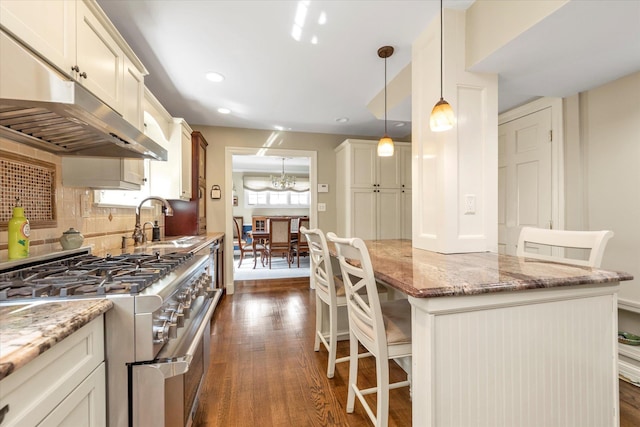 80 Park Ave, New Hyde Park, NY 11040 - kitchen with dark wood finished floors, under cabinet range hood, a sink, and double oven range