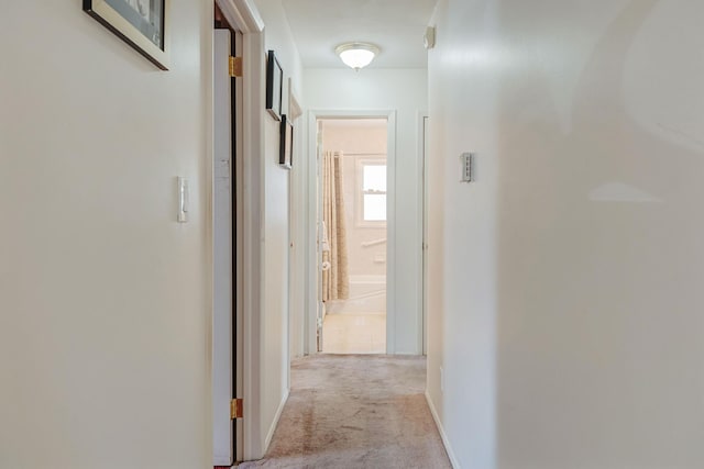 7 Healy St, Huntington, NY 11743 - photo 16