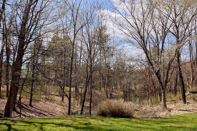 view of local wilderness