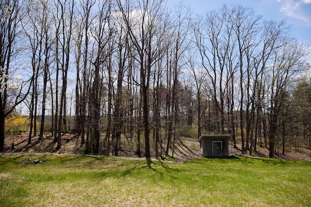 view of yard with an outbuilding and a shed