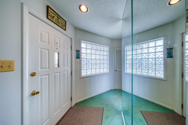 10 Joe D Dr Unit 10B, Callicoon, NY 12723 - entryway with baseboards, carpet flooring, and a textured ceiling