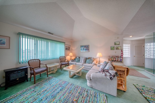 10 Joe D Dr Unit 10B, Callicoon, NY 12723 - living area with vaulted ceiling, visible vents, carpet, and a textured ceiling