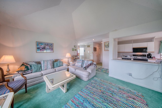 10 Joe D Dr Unit 10B, Callicoon, NY 12723 - living area with carpet floors and lofted ceiling