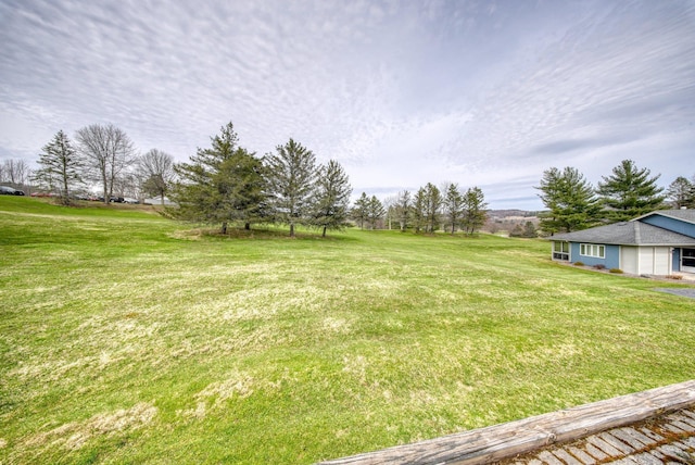 10 Joe D Dr Unit 10B, Callicoon, NY 12723 - view of yard