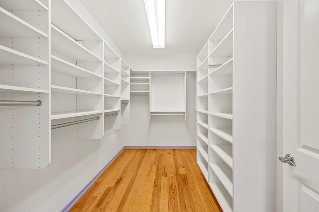 walk in closet featuring wood finished floors