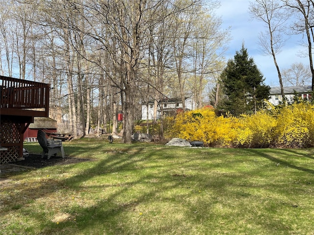 view of yard featuring a deck